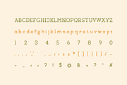Typetopia Eroded Serif Typeface, a Handwritten Font by alpercakici (Thumbnail 17 of 17)
