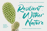 Satiate Ration Bold Brush Font, a Script Font by stylishtype.co (Thumbnail 9 of 20)
