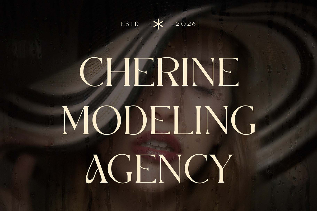 Ghdothil - Modern Stylish Serif, a Serif Font by GridlineType (Photo 8 of 10)