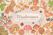 Forest watercolor mushrooms clipart, a Seasonal Illustration by Irina Avdeeva (Thumbnail 1 of 12)
