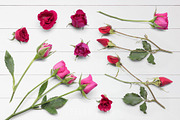 Floral Flatlay Scene Creator Rosette, a Product Mockup by ILLONA GRAPHICS (Thumbnail 5 of 5)