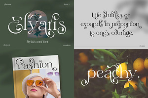 Stylish & Elegant Serif Font Bundle