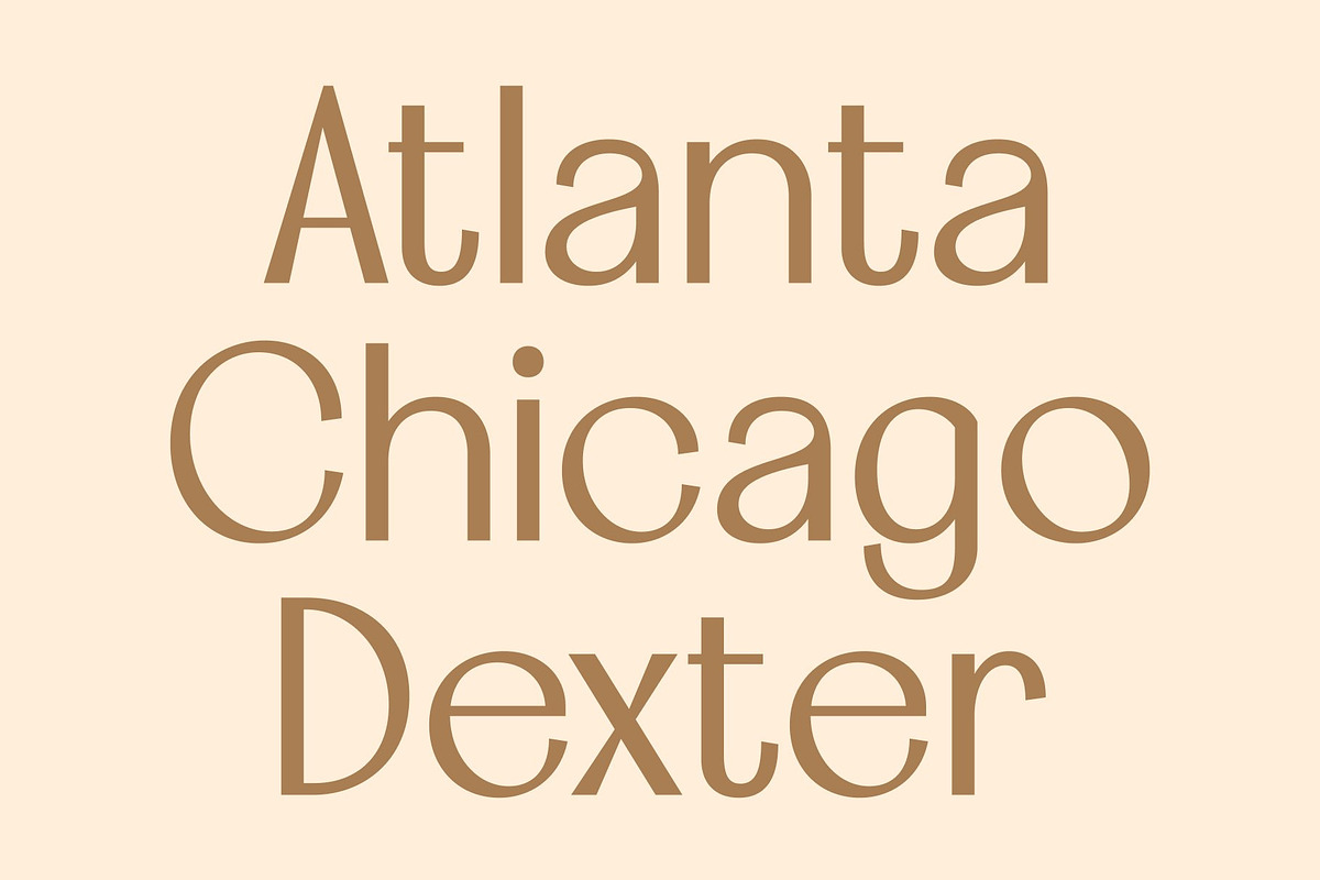 CS Calgary – Elegant Sans Serif, a Sans Serif Font by Craft Supply Co. (Photo 6 of 8)