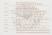 Bellavine, a Serif Font by din-studio.com (Thumbnail 7 of 11)