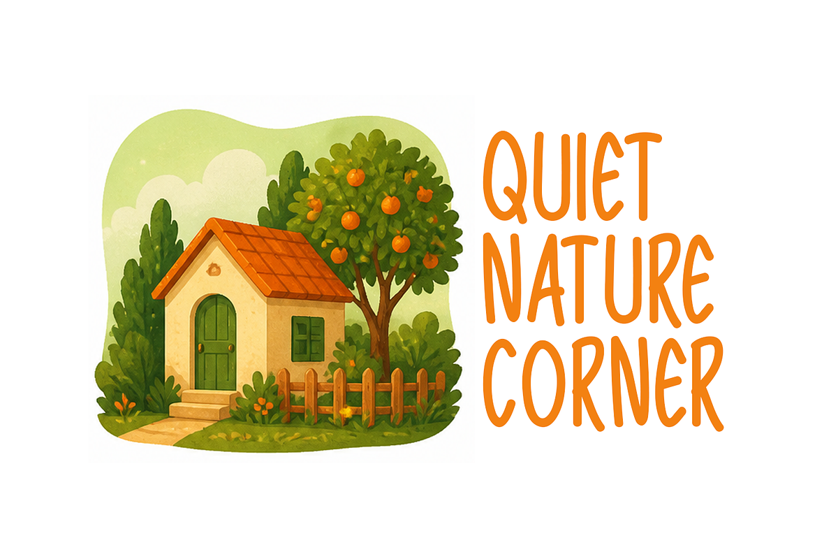 Toasty Summer Typeface, a Handwritten Font by Seemly Fonts (Photo 4 of 5)