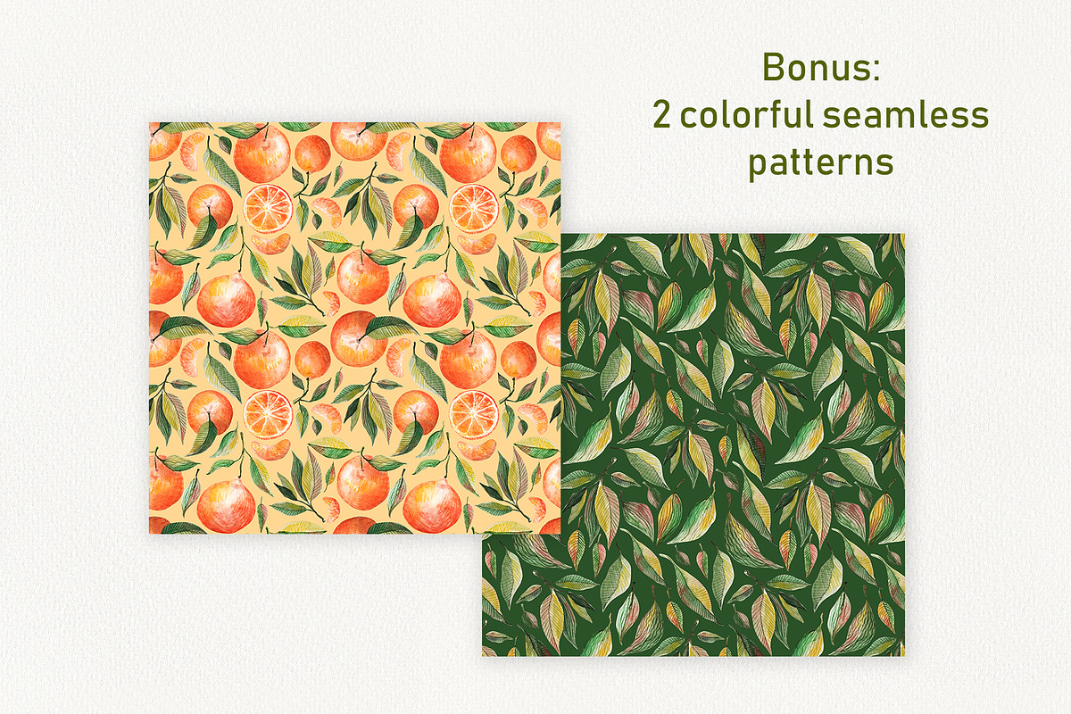 Watercolor Orange Fruit Clipart, a Food Illustration by Dina Guiter (Photo 8 of 10)