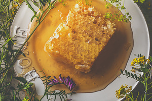 Fresh honey with honeycomb, a Health & Medical Photo by VICUSCHKA