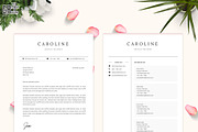 Professional Resume/CV Template, a Resume Template by GResume (Thumbnail 5 of 9)