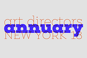 Peckham, a Slab Serif Font by Los Andes Type (Thumbnail 6 of 14)
