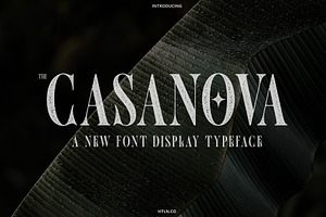 The Casanova (clean & rough)