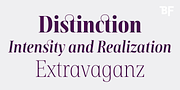 BF Rotwang Pro, a Serif Font by BrassFonts (Thumbnail 10 of 15)