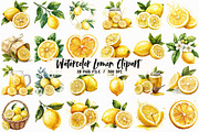 Watercolor Lemon Bundle Clipart, an Illustration by Libby Wishes (Thumbnail 1 of 5)