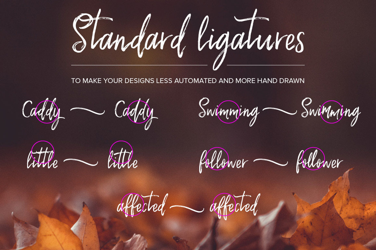 Wellington Script Font preview 5