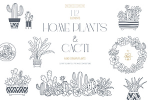 HOME PLANTS AND CACTI LINE ART