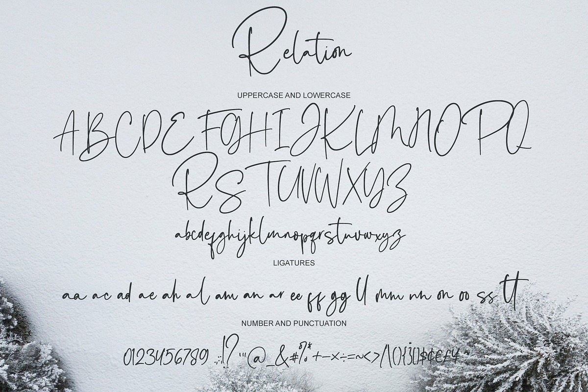 Relation - Script Handwrittem Font, a Script Font by alphArtype (Photo 7 of 7)
