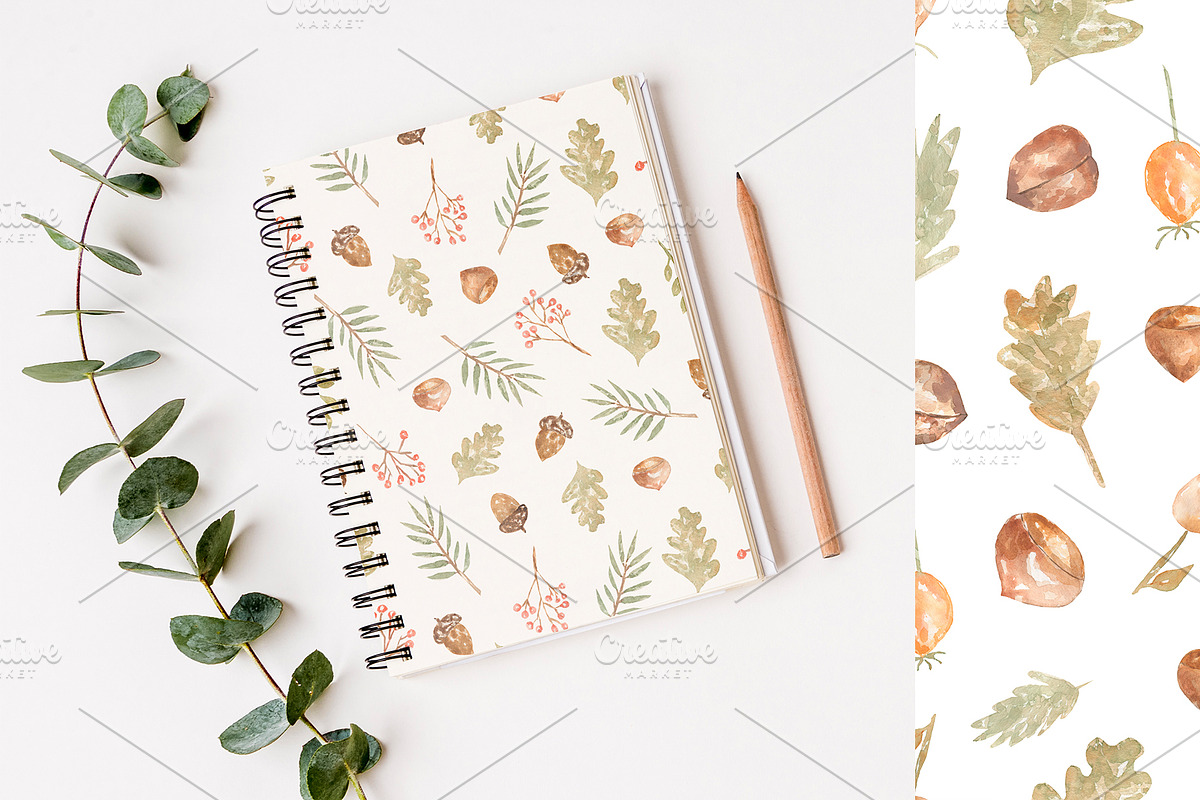 Cute Woodland Friends Collection, an Animal Illustration by MayaNavits (Photo 6 of 12)