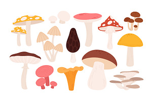 Forest Mushrooms Set. Chanterelle