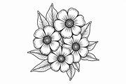Floral Coloring Book for Adults Set, an Illustration by Creativeshirt (Thumbnail 2 of 9)
