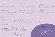 Elly Sandeo Wedding Cyrillic font, a Script Font by IraDvilyuk (Thumbnail 18 of 18)