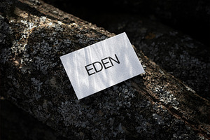 FORMAT EDEN BUSINESSCARD 07