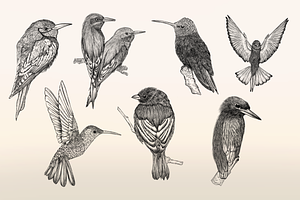 Birds Stamp For Procreate