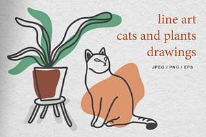 Line art plant and cat drawings