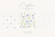 Watercolor Cornflowers, an Illustration by Nastya.Chay (Thumbnail 6 of 10)