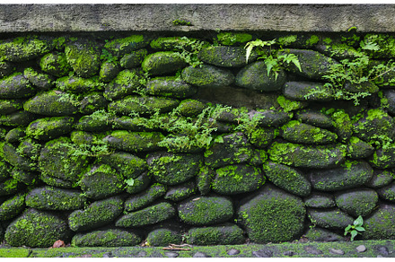 Texture of stone wall with green stock photo containing moss and stone