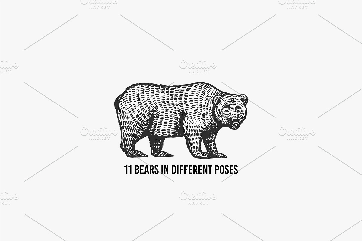 Big set bundle. Animals fox, wolf, an Animal Illustration by Arthur Balitskiy (Photo 3 of 9)