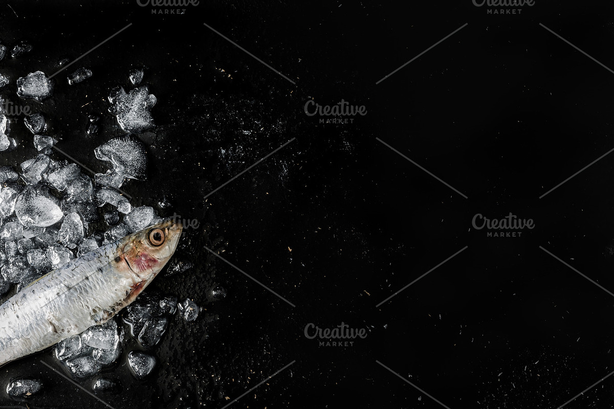 Feeling Catch, a Templates & Theme by Feelings (Photo 3 of 7)