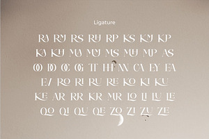 Camelia Elegant Serif Font