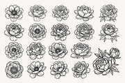 Peony Flower Line Art Illustration, a Decorative Illustration by Kusumaillustration (Thumbnail 2 of 15)