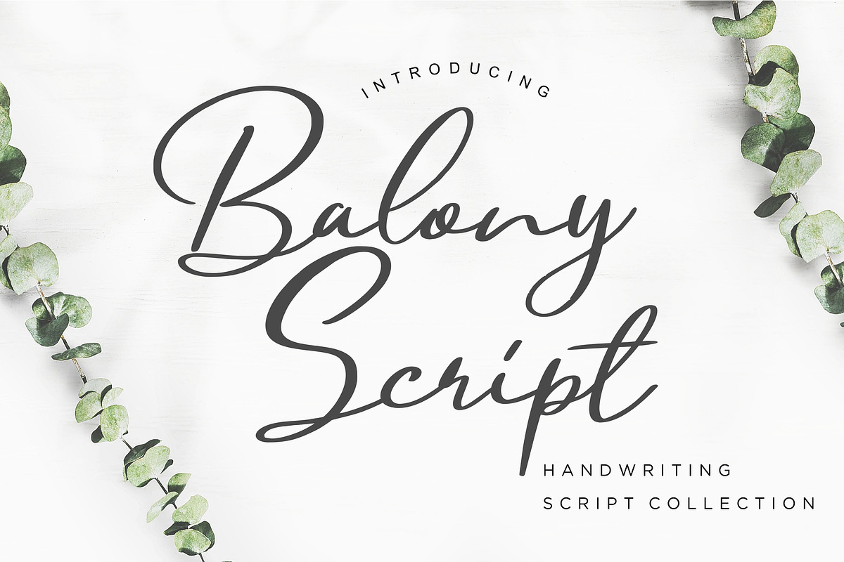 Balony Script Business Font
