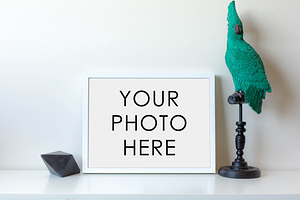 White Frame With Black Gem & Parrot