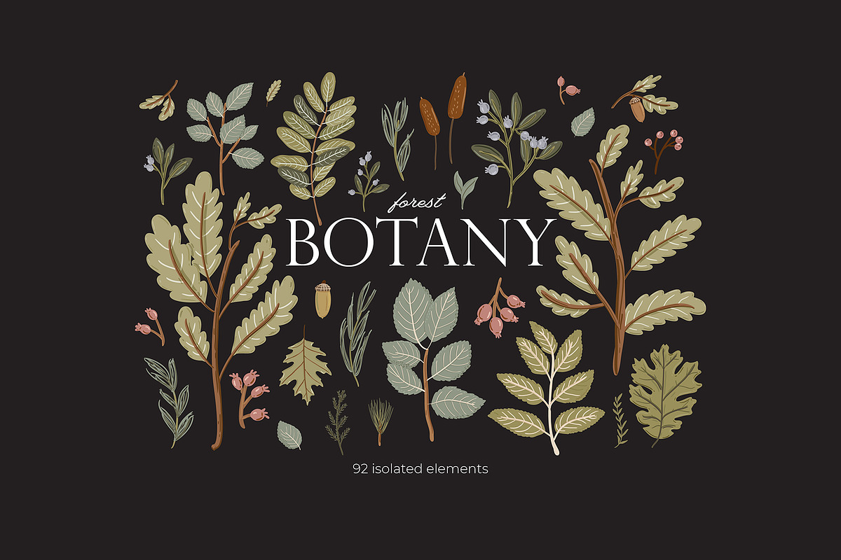 Forest Animals & Seasonal Botany, an Illustration by Ruslana Lubenets (Photo 7 of 21)