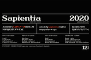 Sapientia - Serif Font Family, a Serif Font by Artistic & Unique (Thumbnail 2 of 12)