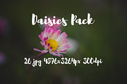 Daisies Pack, a Templates & Theme by ApertureVintage (Thumbnail 5 of 14)