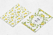 Lovely Lemons. Watercolor collection, a Decorative Illustration by Maria's little shop (Thumbnail 8 of 10)