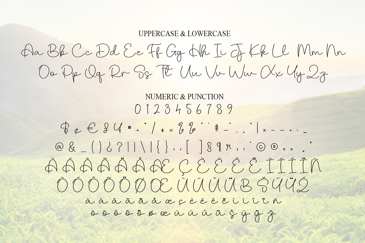 Beauty Nature | Script Font, a Handwritten Font by Scratchones (Photo 7 of 8)