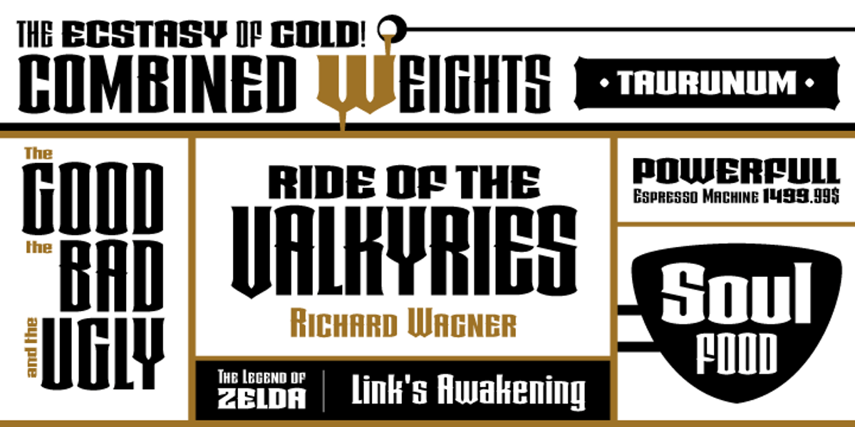 Taurunum, a Font by Kostic Type Foundry (Photo 2 of 2)