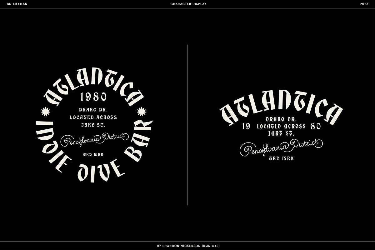 BN Tillman Gothic Display Typeface, a Serif Font by Bnick (Photo 11 of 12)