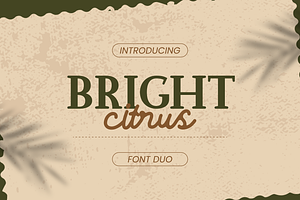 Bright Citrus - Luxury Font Duo