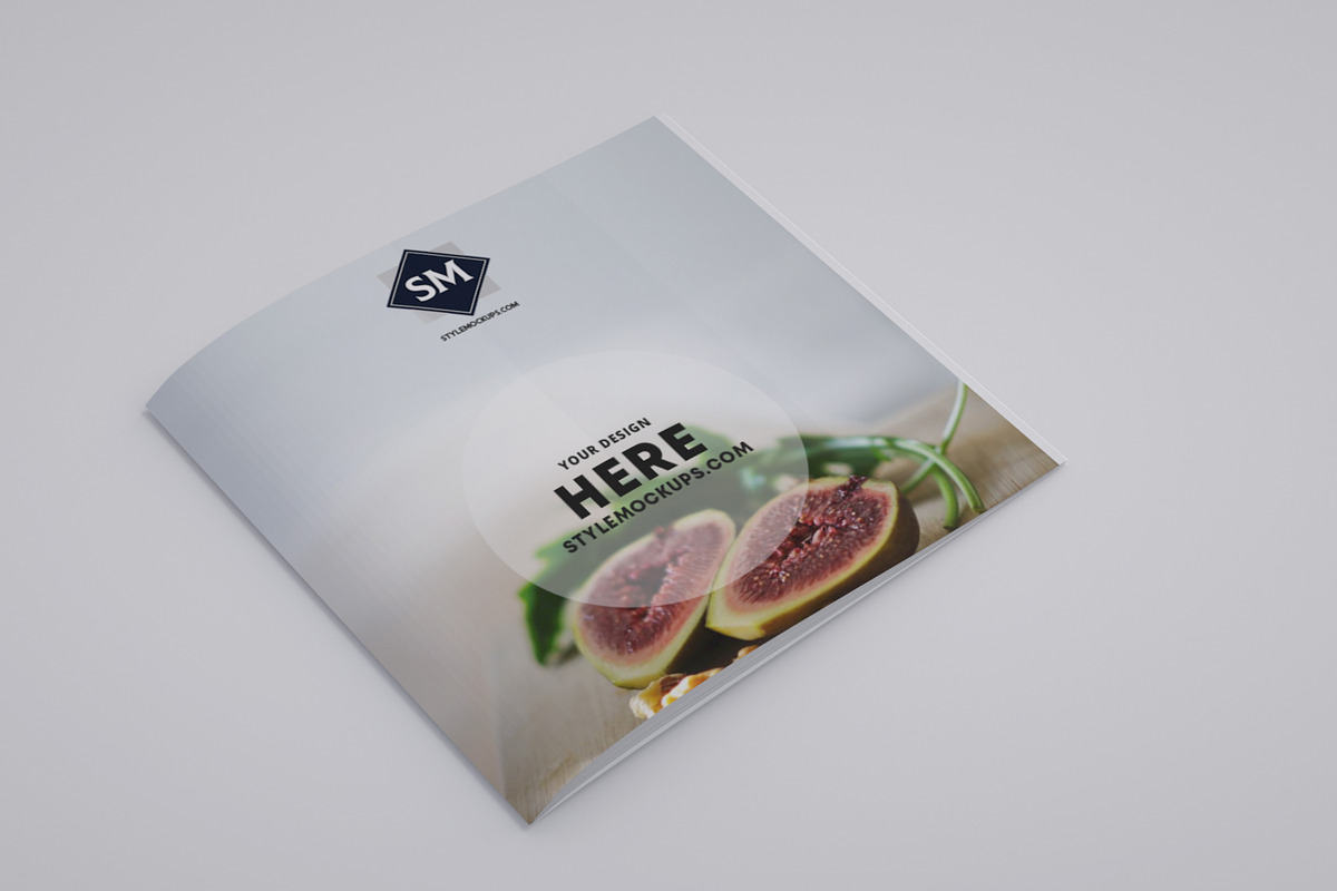 Square Catalog/Brochure Mock-Up, a Print Template by StyleMockups (Photo 3 of 7)