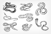 Snakes, hand drawn set, an Animal Illustration by Good Studio (Thumbnail 3 of 3)