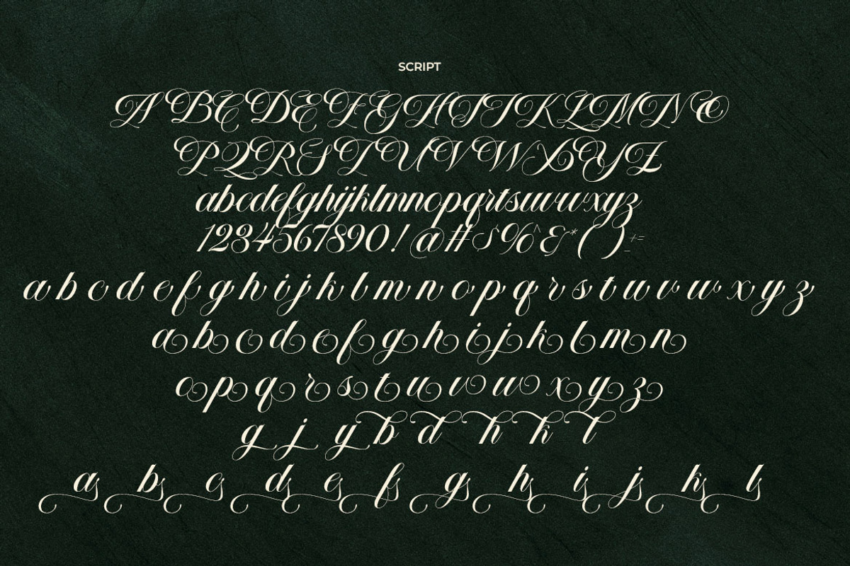 LT The Heistha Editorial - Font Duo, a Script Font by Luminotype (Photo 17 of 17)