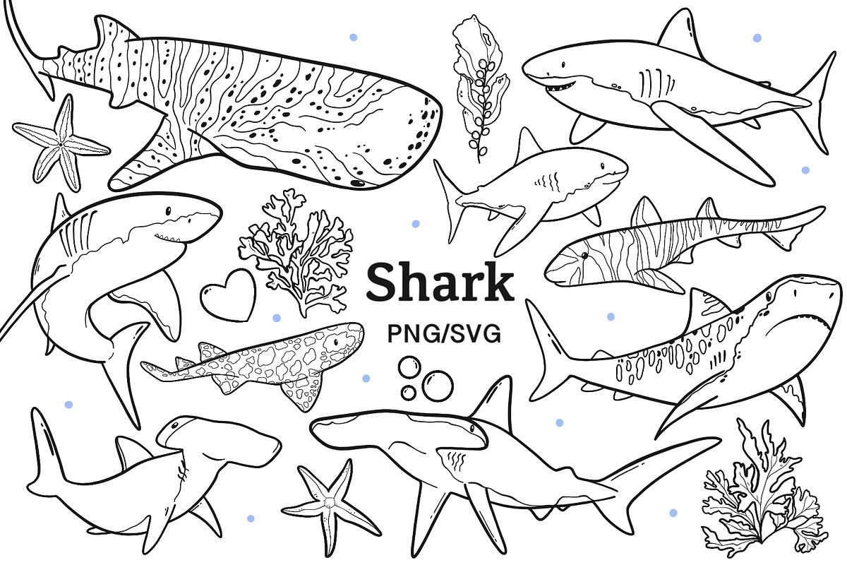 Shark Line Art PNG SVG, an Animal Illustration by ArtGiftsStudio (Photo 1 of 5)