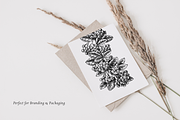 Vintage Forest Illustrations Set, an Object Graphic by Yevheniia (Thumbnail 7 of 7)