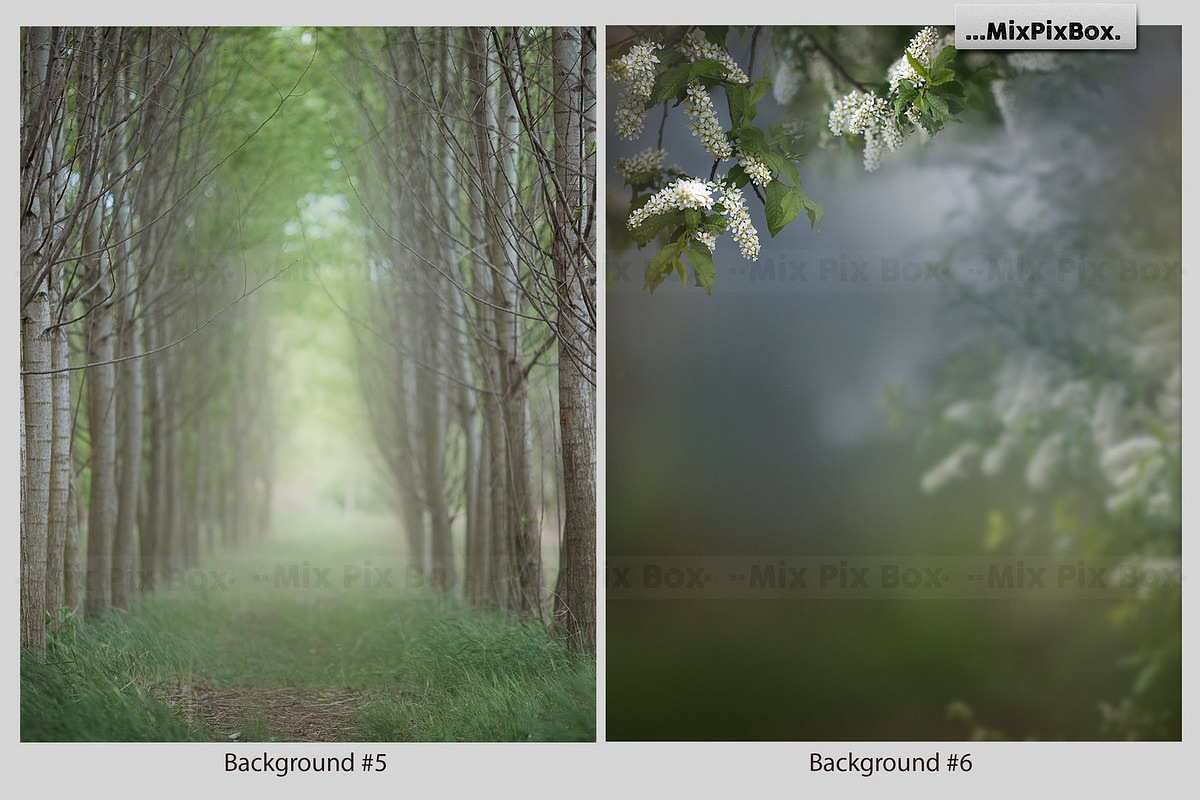Spring Portrait Backgrounds, a Wallpaper Graphic by MixPixBox (Photo 5 of 10)