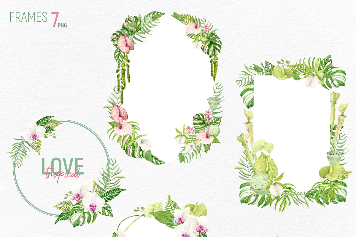 Tropical Flowers. Exotic flora set, an Illustration by Tata Pilip (Photo 8 of 21)