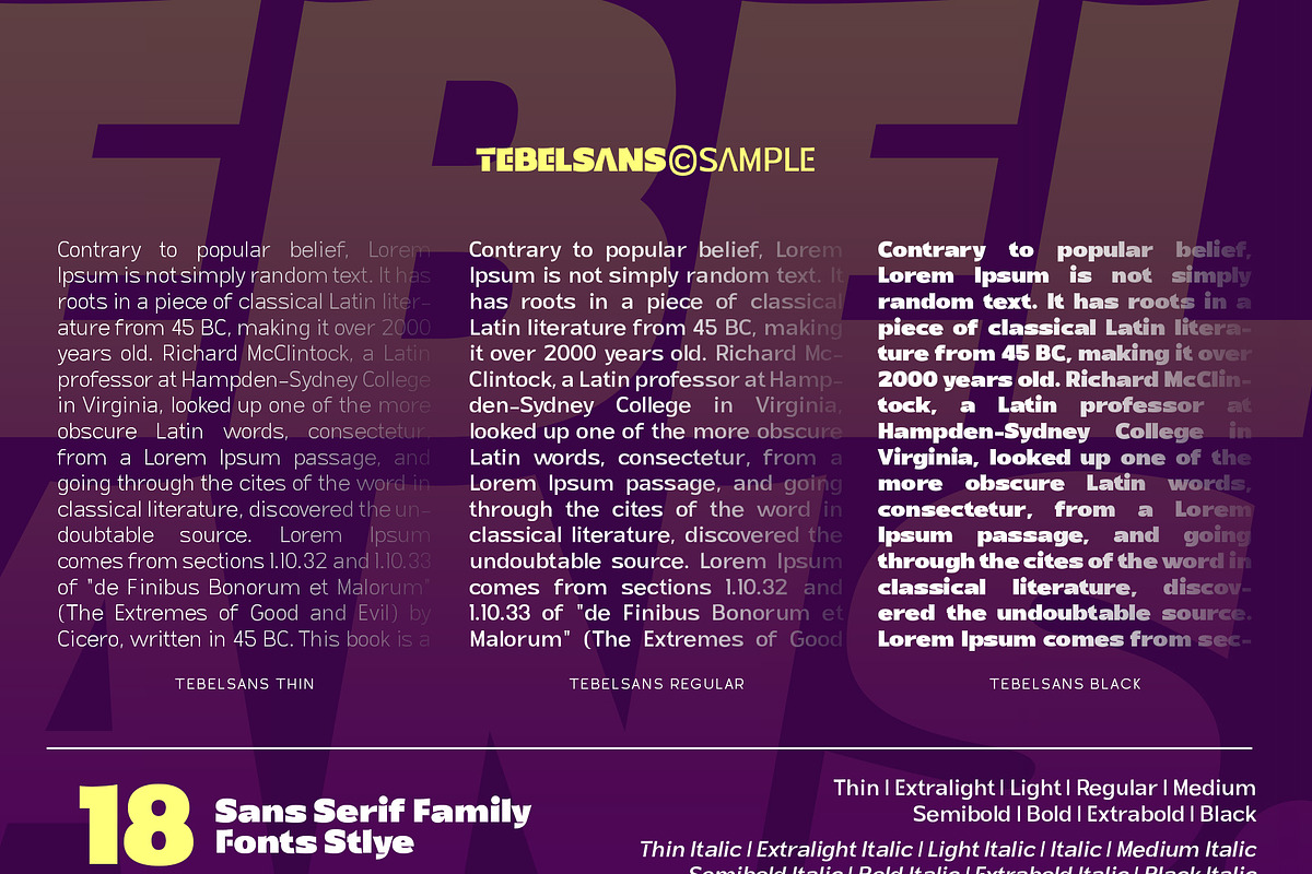 Tebel Sans - Sans Serif Font Family, a Sans Serif Font by Ardyanatypes (Photo 10 of 12)